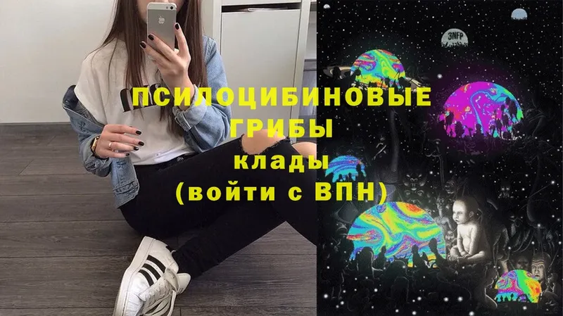 Галлюциногенные грибы Magic Shrooms  Микунь 